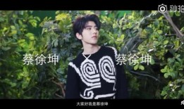 先生爆料蔡徐坤视频大全,揭秘偶像背后的精彩瞬间